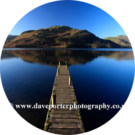 Dave Porter Avatar